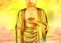 Phật vì sanh chúng trồng nhân- vào trong A Lại dần dần đầy thôi